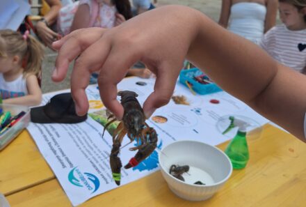 Celebrating the Danube River!