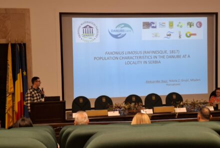 DANUBEcare Research Presented at ESENIAS–DIAS Conference