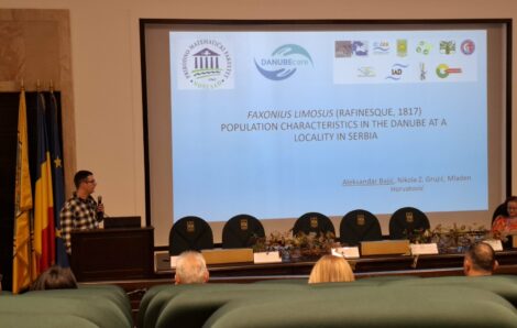 DANUBEcare Research Presented at ESENIAS–DIAS Conference