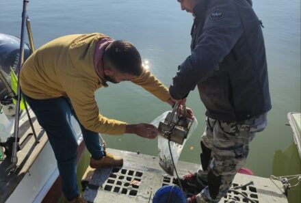 The DANUBEcare team continues with the implementation of project activities