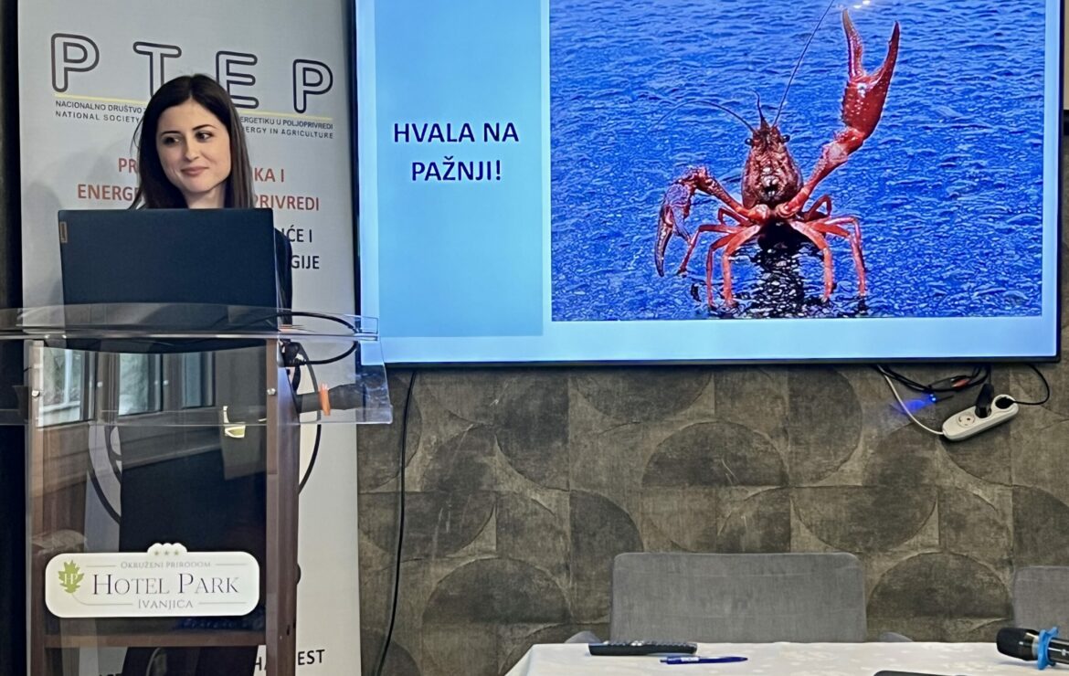 DANUBEcare Research Presented at the PTEP 2026 Conference