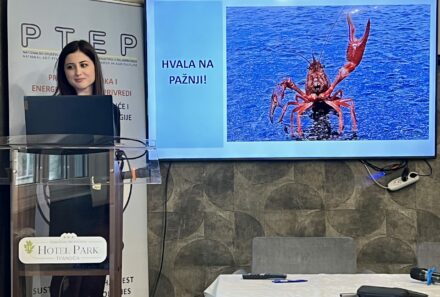 DANUBEcare Research Presented at the PTEP 2026 Conference