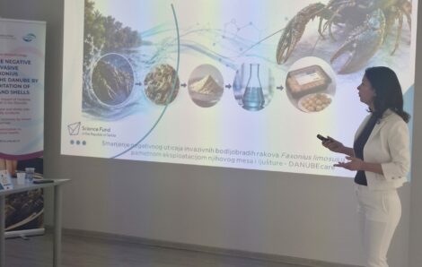 DANUBEcare Workshop Showcased Innovative Applications of Crayfish Biomass